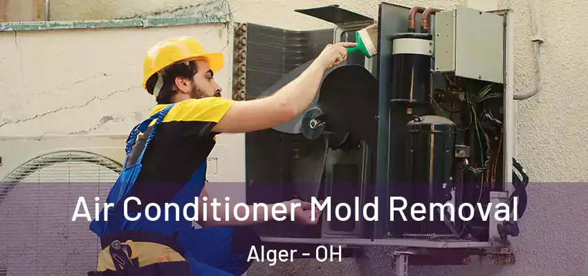  Air Conditioner Mold Removal Alger - OH