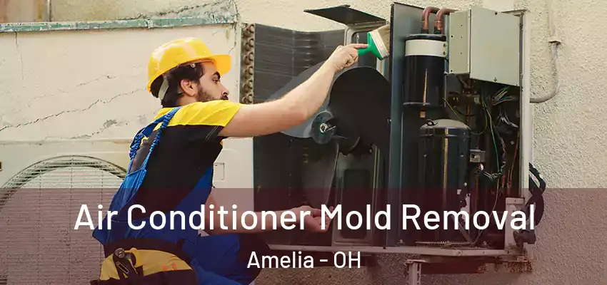  Air Conditioner Mold Removal Amelia - OH