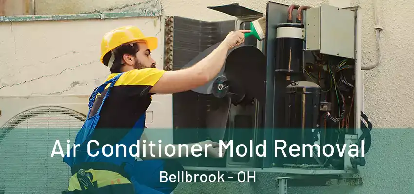 Air Conditioner Mold Removal Bellbrook - OH