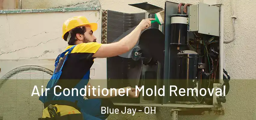  Air Conditioner Mold Removal Blue Jay - OH