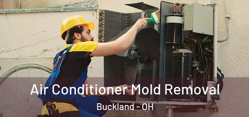  Air Conditioner Mold Removal Buckland - OH