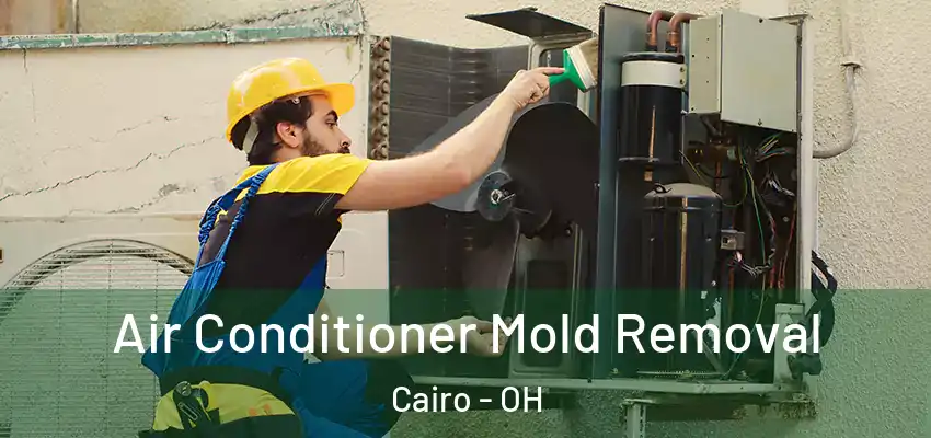  Air Conditioner Mold Removal Cairo - OH