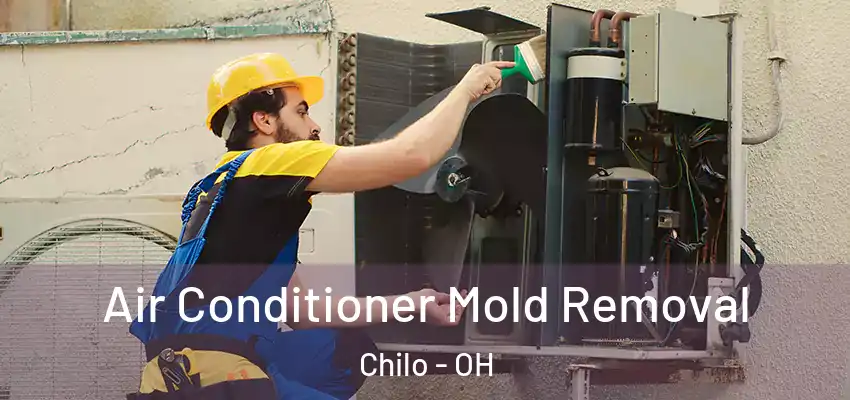  Air Conditioner Mold Removal Chilo - OH