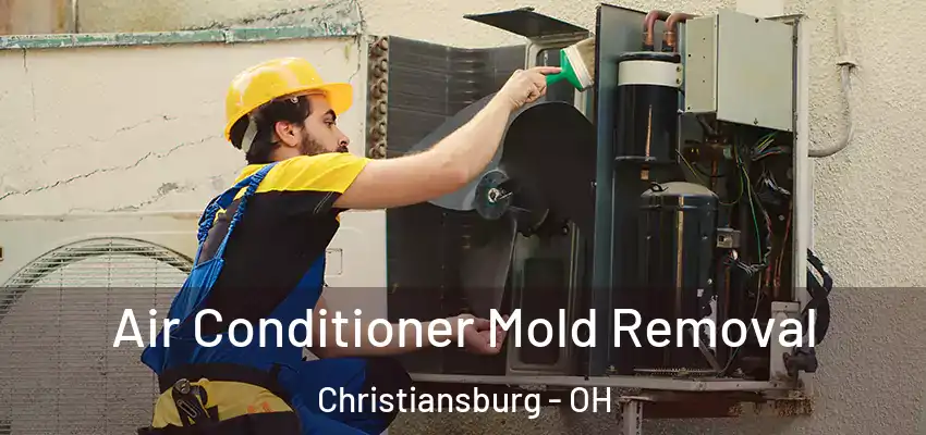  Air Conditioner Mold Removal Christiansburg - OH