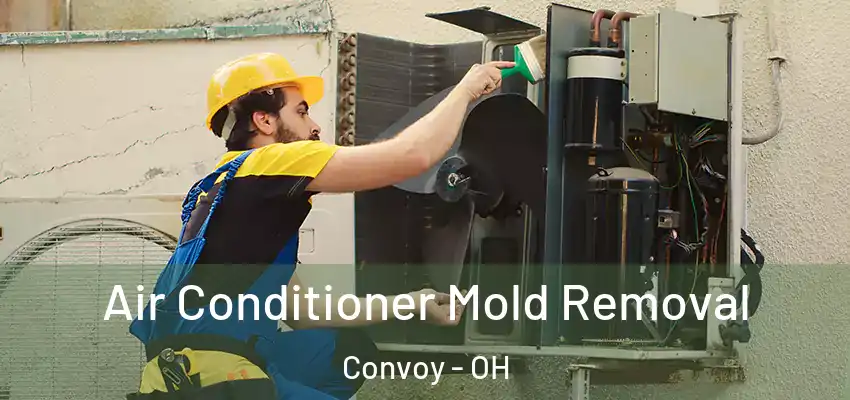  Air Conditioner Mold Removal Convoy - OH