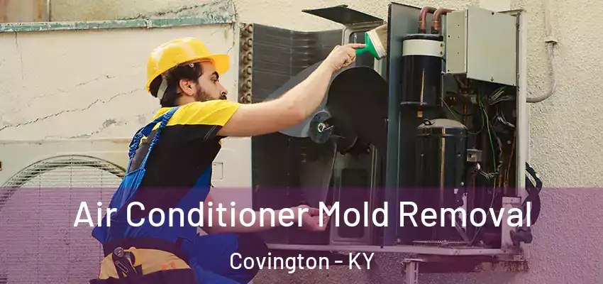 Air Conditioner Mold Removal Covington - KY