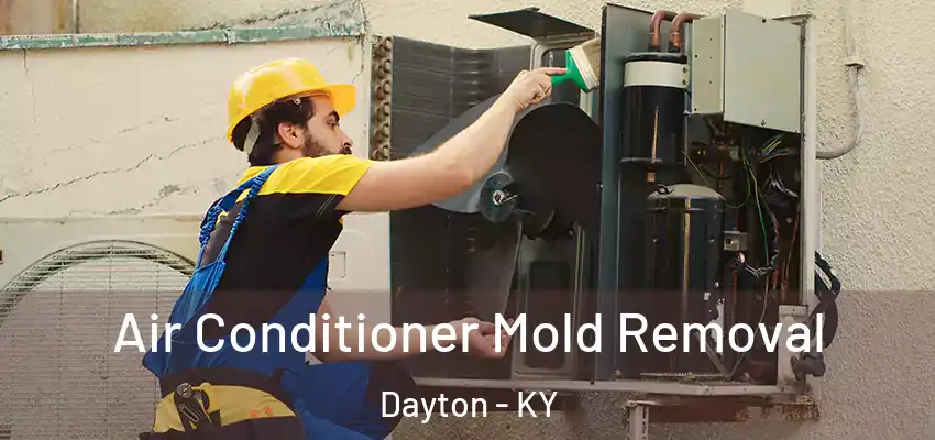 Air Conditioner Mold Removal Dayton - KY