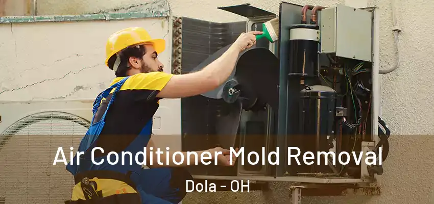  Air Conditioner Mold Removal Dola - OH