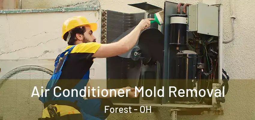  Air Conditioner Mold Removal Forest - OH
