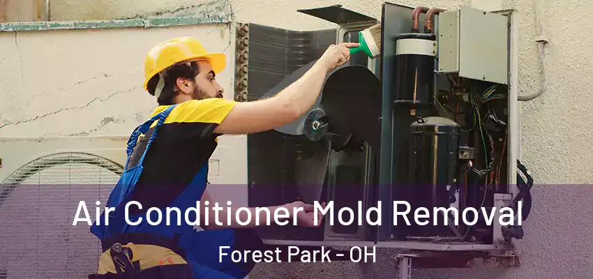  Air Conditioner Mold Removal Forest Park - OH