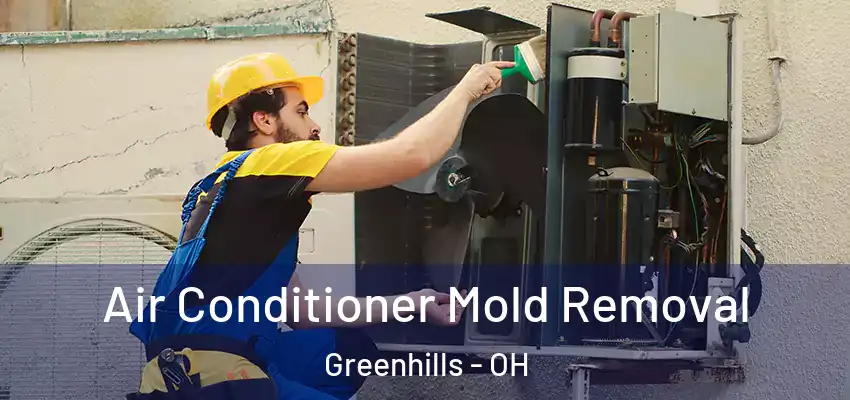  Air Conditioner Mold Removal Greenhills - OH
