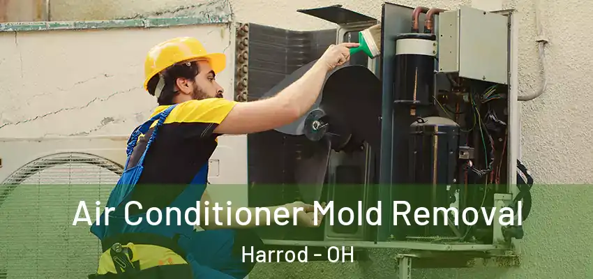  Air Conditioner Mold Removal Harrod - OH