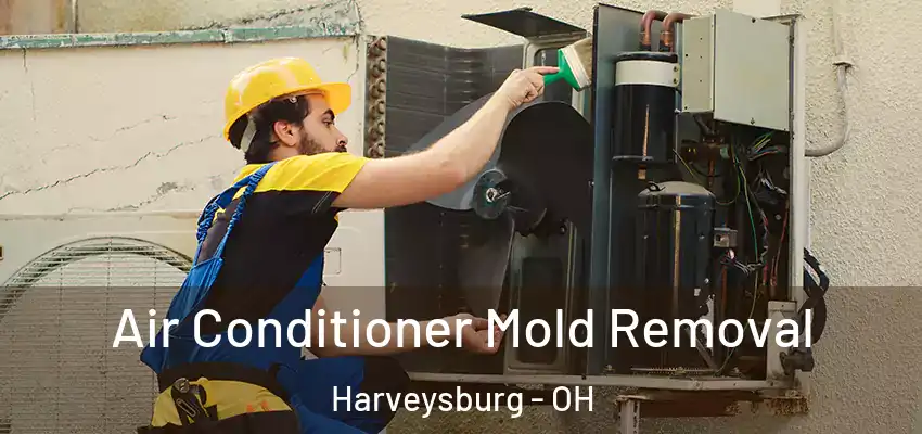  Air Conditioner Mold Removal Harveysburg - OH