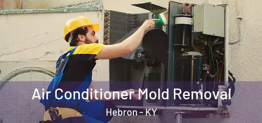  Air Conditioner Mold Removal Hebron - KY