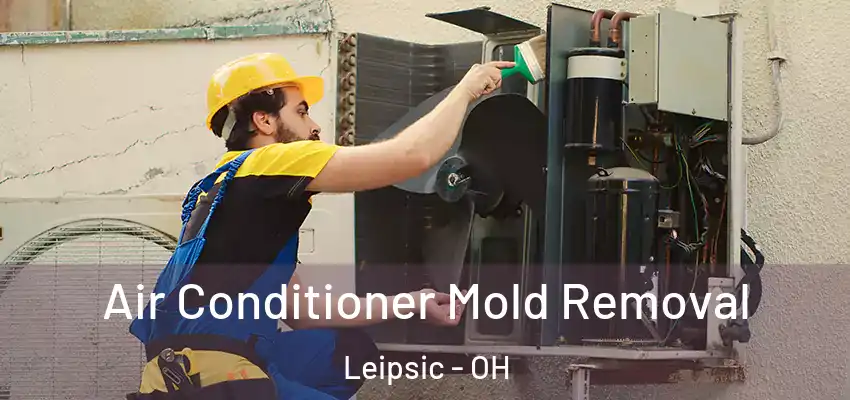  Air Conditioner Mold Removal Leipsic - OH