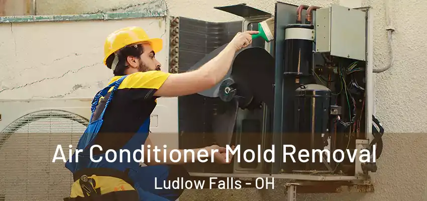 Air Conditioner Mold Removal Ludlow Falls - OH