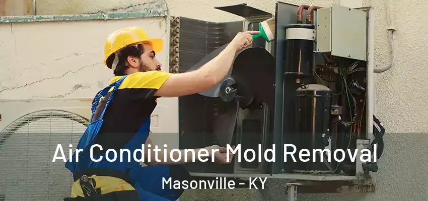  Air Conditioner Mold Removal Masonville - KY