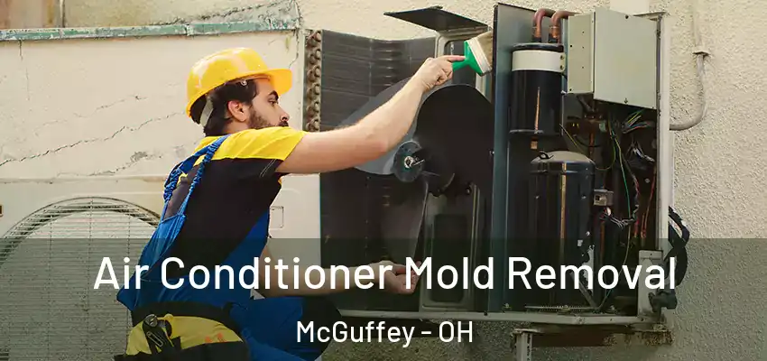  Air Conditioner Mold Removal McGuffey - OH