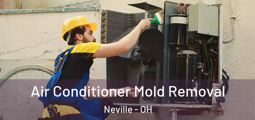  Air Conditioner Mold Removal Neville - OH