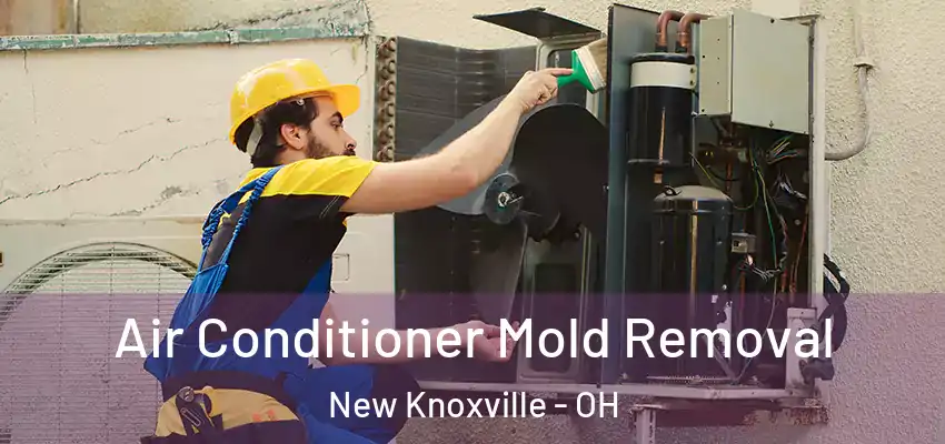  Air Conditioner Mold Removal New Knoxville - OH