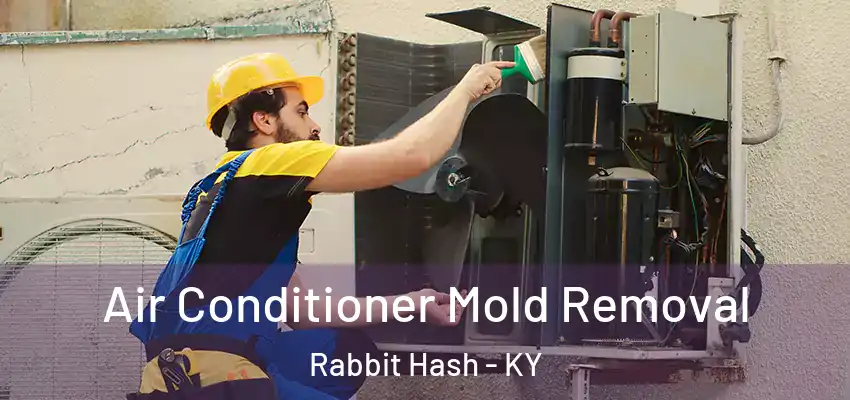  Air Conditioner Mold Removal Rabbit Hash - KY