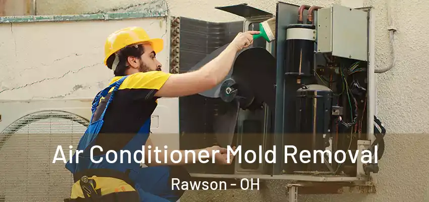  Air Conditioner Mold Removal Rawson - OH