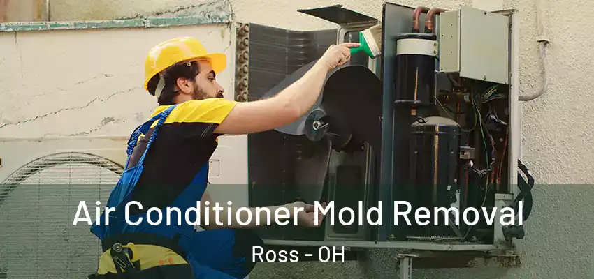  Air Conditioner Mold Removal Ross - OH