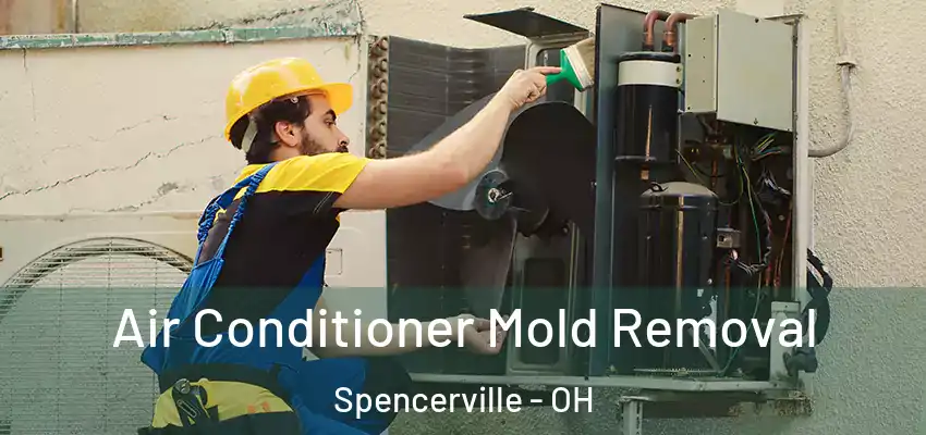  Air Conditioner Mold Removal Spencerville - OH