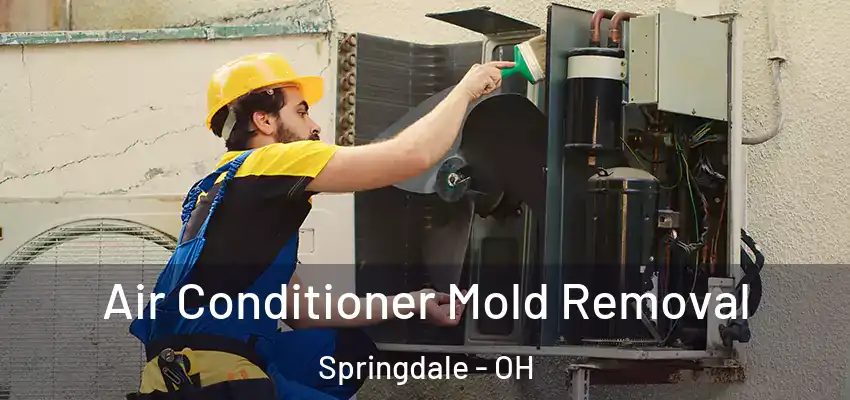  Air Conditioner Mold Removal Springdale - OH