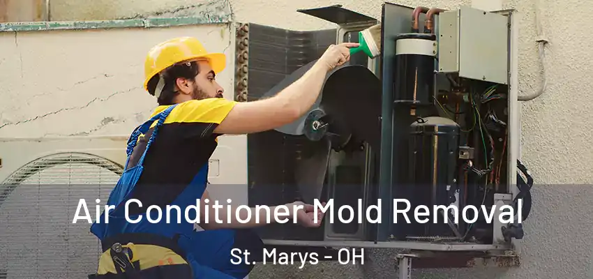  Air Conditioner Mold Removal St. Marys - OH