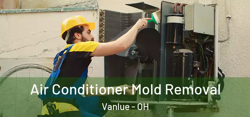  Air Conditioner Mold Removal Vanlue - OH