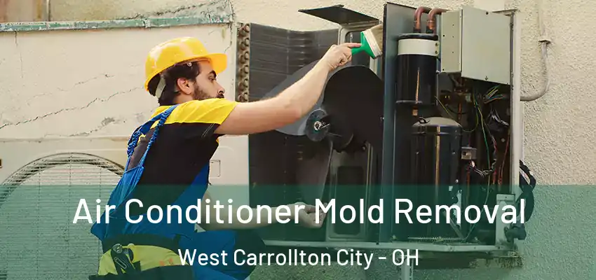  Air Conditioner Mold Removal West Carrollton City - OH