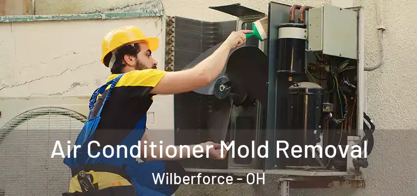  Air Conditioner Mold Removal Wilberforce - OH
