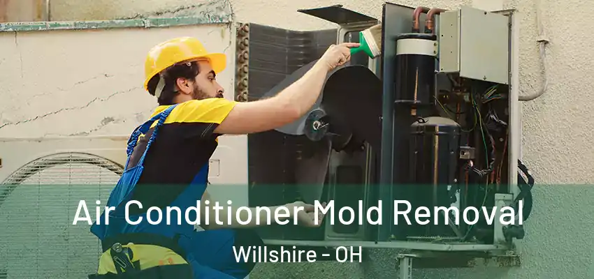  Air Conditioner Mold Removal Willshire - OH