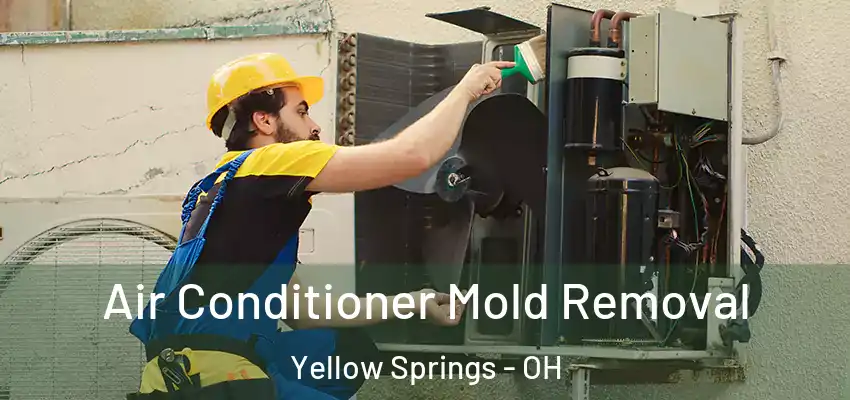  Air Conditioner Mold Removal Yellow Springs - OH