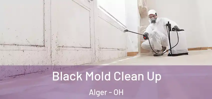 Black Mold Clean Up Alger - OH