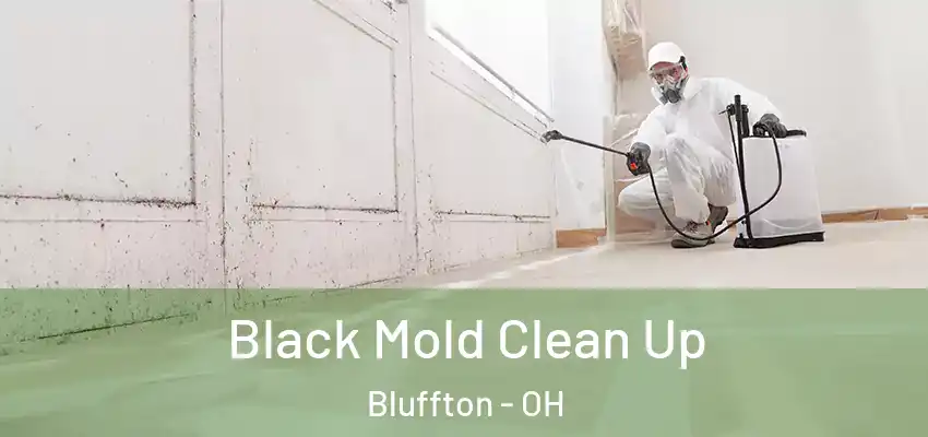  Black Mold Clean Up Bluffton - OH