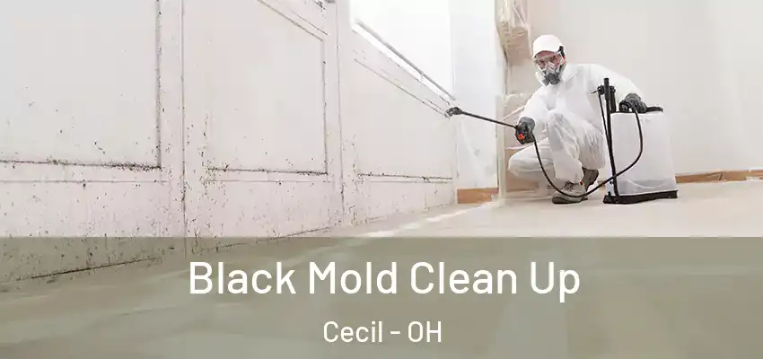  Black Mold Clean Up Cecil - OH