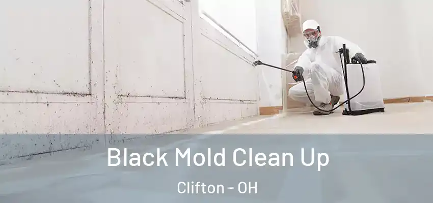 Black Mold Clean Up Clifton - OH