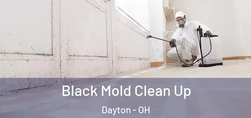 Black Mold Clean Up Dayton - OH