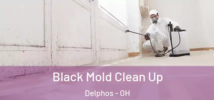  Black Mold Clean Up Delphos - OH