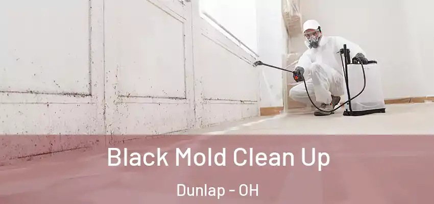  Black Mold Clean Up Dunlap - OH
