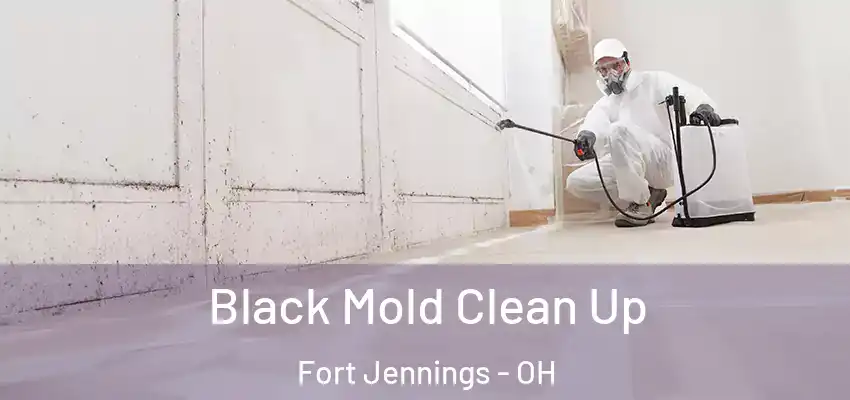  Black Mold Clean Up Fort Jennings - OH