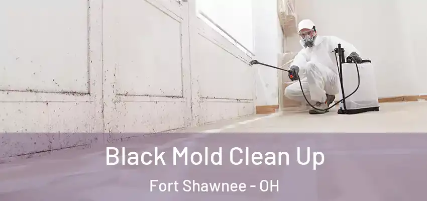  Black Mold Clean Up Fort Shawnee - OH