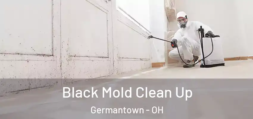 Black Mold Clean Up Germantown - OH