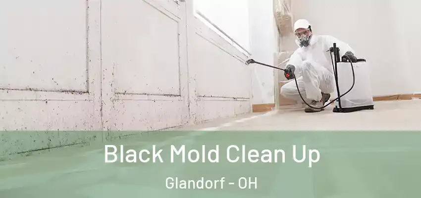  Black Mold Clean Up Glandorf - OH