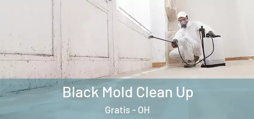 Black Mold Clean Up Gratis - OH