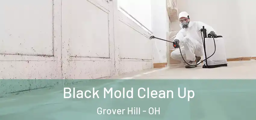  Black Mold Clean Up Grover Hill - OH