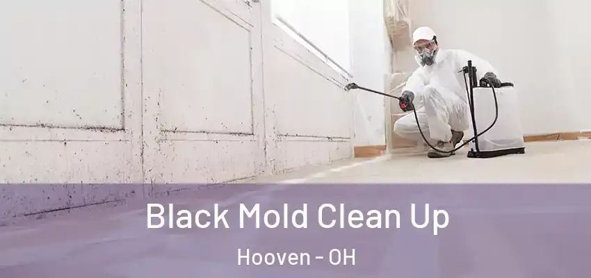 Black Mold Clean Up Hooven - OH