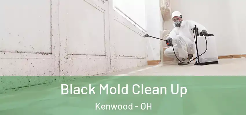  Black Mold Clean Up Kenwood - OH